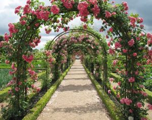 flower arches