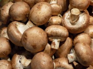 harvested mushrooms